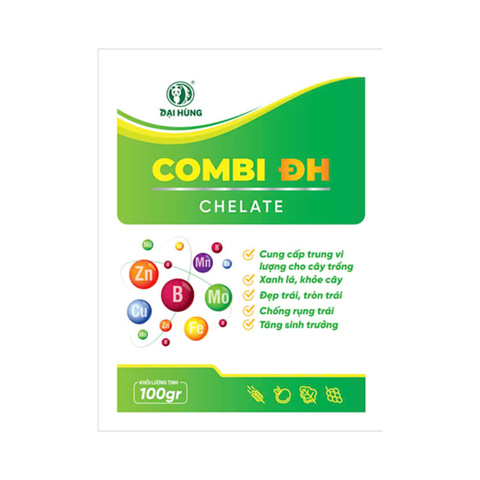  COMBI ĐH 