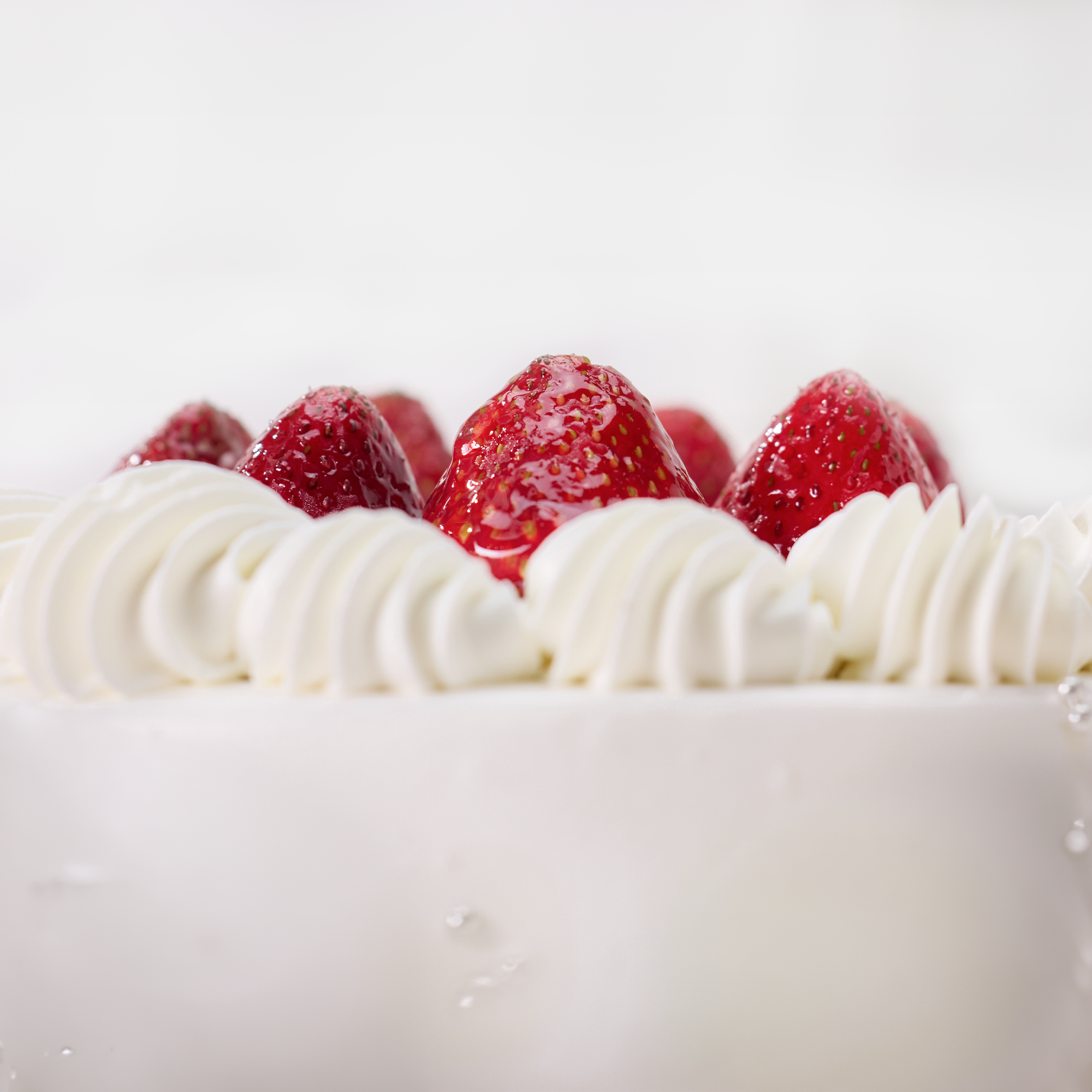 Bánh kem Sương mai