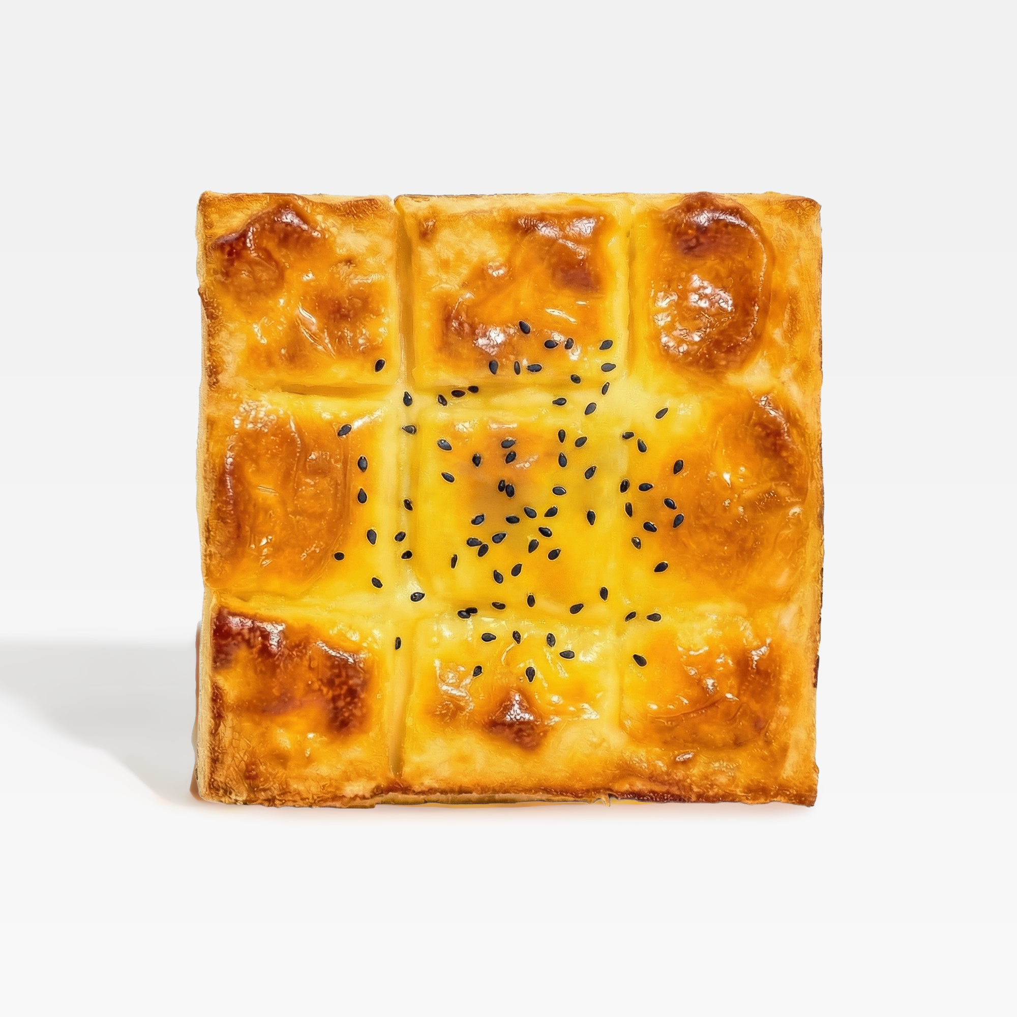 Sandwich Sa-chi tan chảy