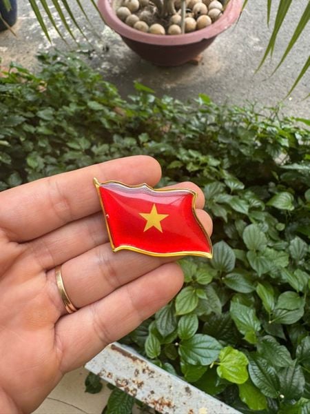 Huy Hiệu Cài  Áo- Phiên bản đặc biệt Kỷ niệm 80 Năm Quốc Khánh 2/9- Sản phẩm chuẩn của Doanh nghiệp QDNDVN