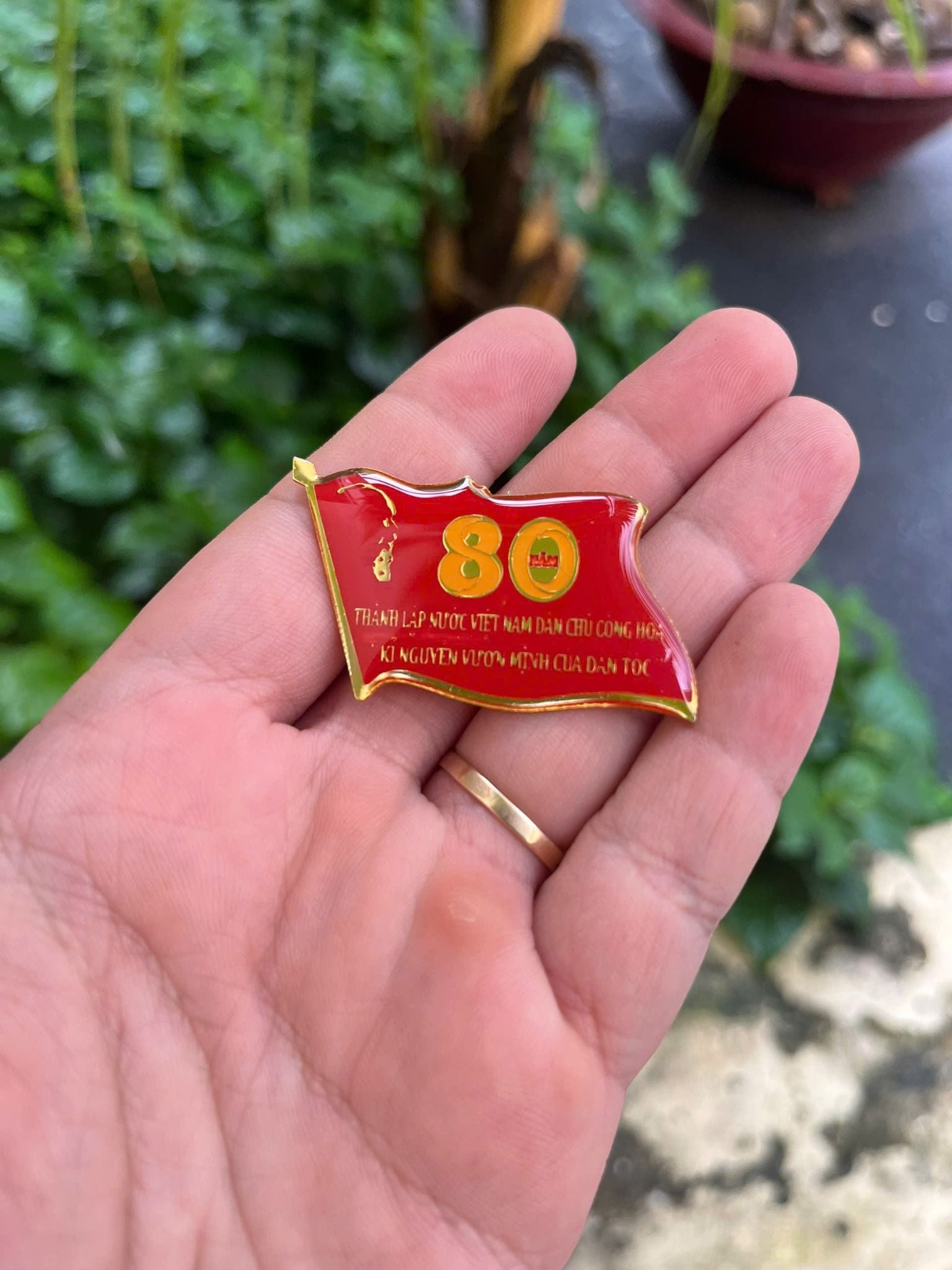  Huy hiệu cài áo- Phiên bản đặc biệt kỷ niệm 80 năm quốc khánh- A80- Hàng chuẩn cấp phát 