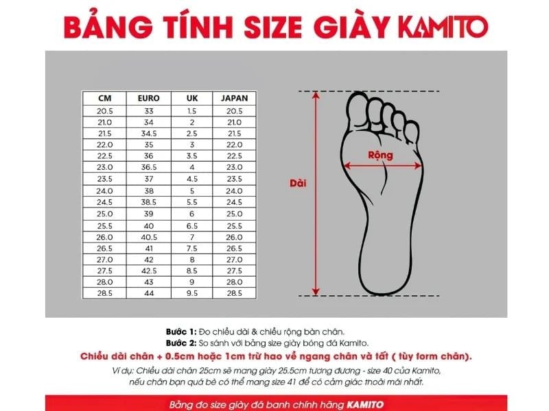  Kamito Artista 2 KL TF Classic - KMTF260836 - Xanh chanh 