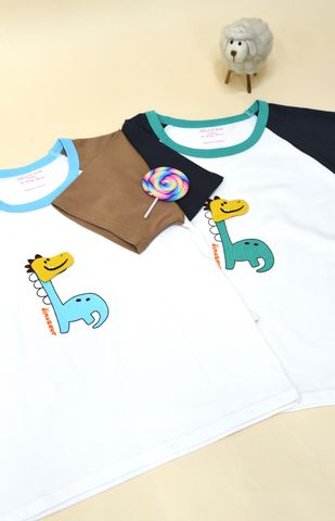  Áo cổ viền bo tay ngắn S78 - HELLO BnB 