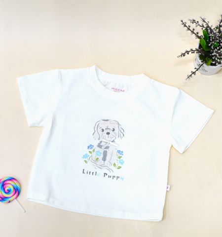  Áo cổ bo tay ngắn bé gái 2008 Kem - HELLO BnB 