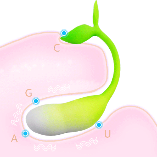  Trứng rung tình yêu Spring Buds điều khiển từ xa bằng App điện thoại 