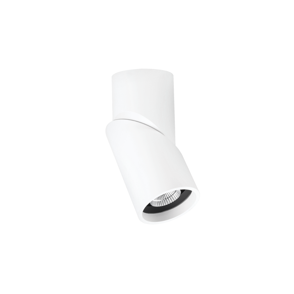ZEN TERRA TEMON 7-12W, Gắn nổi