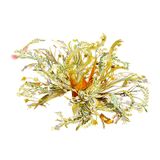  Mô Hình Kim Loại 3D Lắp Ráp Piececool Cẩm Nguyệt Vị Ương Thất Nguyệt Hạc (55 mảnh, July) P417-GW – MP1298 