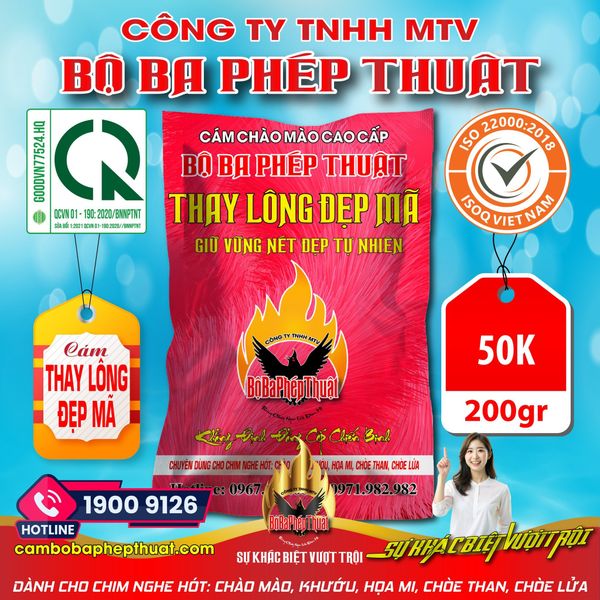  CÁM THAY LÔNG ĐẸP MÃ 
