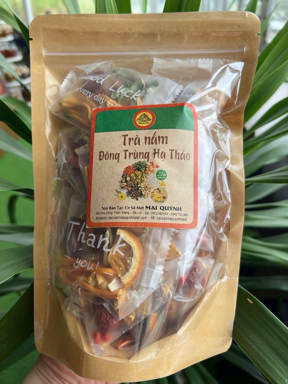  Trà nấm đông trùng hạ thảo 