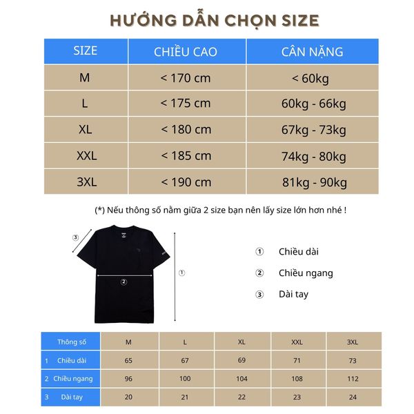 Áo polo thể thao nam A3103