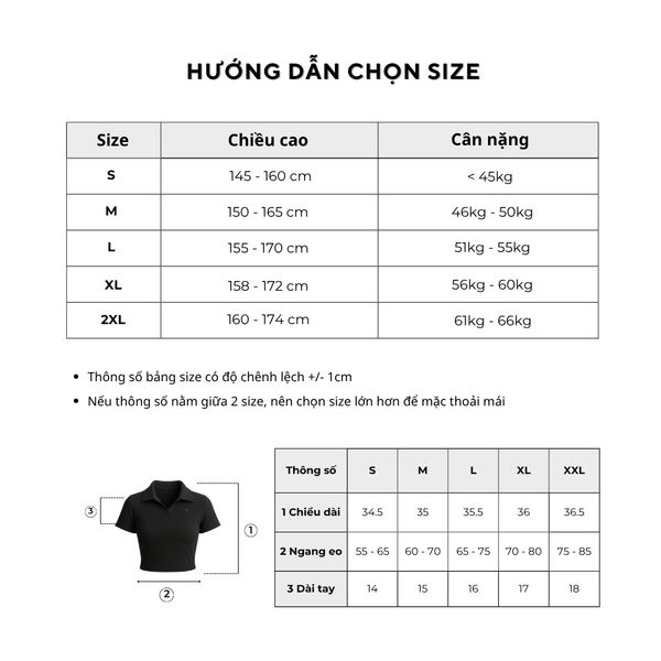 Áo polo croptop nữ Reeta A3217