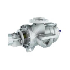 BBT/BBTD process pump