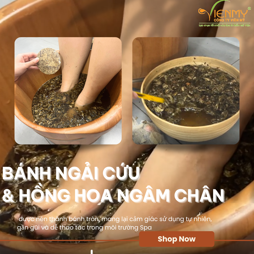  Bánh Ngải cứu & Hồng hoa ngâm chân 
