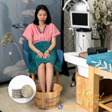  Bánh Ngải cứu & Hồng hoa ngâm chân 