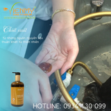  Dầu gội Gừng - Hà Thủ Ô ZENori 