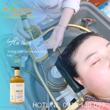  Dầu gội Gừng - Hà Thủ Ô ZENori 