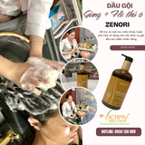  Dầu gội Gừng - Hà Thủ Ô ZENori 