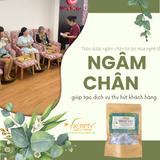  Thảo dược ngâm chân túi lọc Hoa nghệ tây 