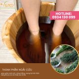  Thảo dược ngâm chân túi lọc Ngải cứu 
