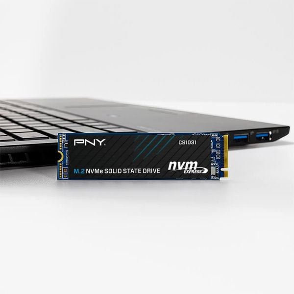  Ổ cứng SSD PNY M280CS1031 500GB | PCIe Gen3 x4 NVMe, M.2 2280 (M280CS1031-500-CL) 