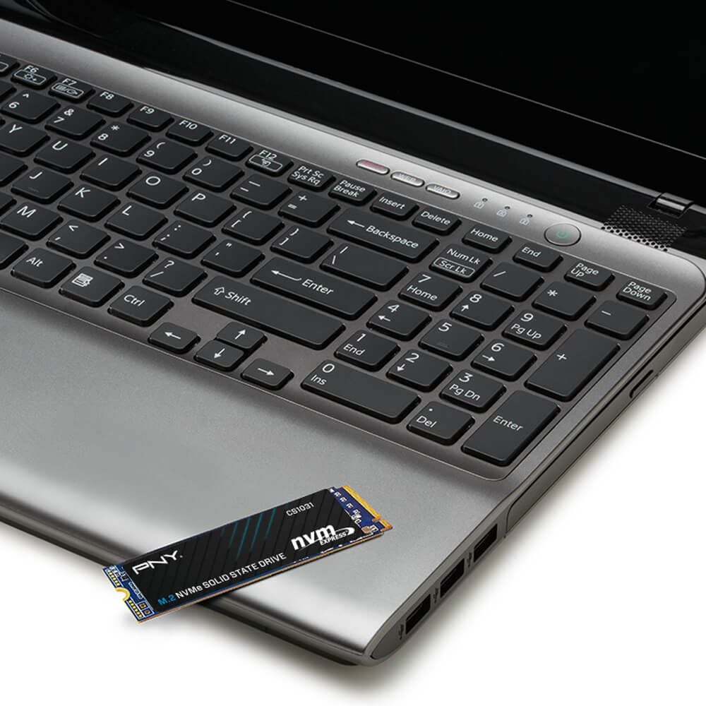 Ổ cứng SSD PNY M280CS1031 500GB | PCIe Gen3 x4 NVMe, M.2 2280 (M280CS1031-500-CL)