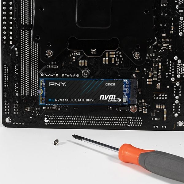  Ổ cứng SSD PNY M280CS1031 500GB | PCIe Gen3 x4 NVMe, M.2 2280 (M280CS1031-500-CL) 