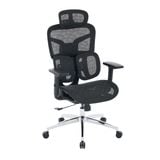  Ghế Công Thái Học Edra EEC226 | Đen 