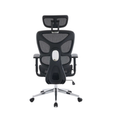  Ghế công thái học E-DRA EEC229 | Full lưới, Chân kim loại, Đen, 15.6kg 