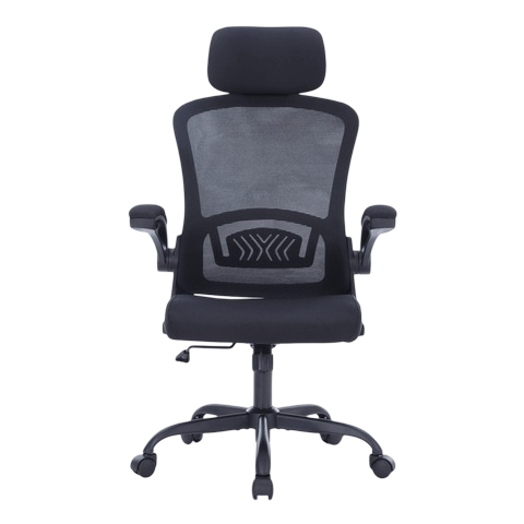 Ghế công thái học WARRIOR Pawn WEC106 | Đen, 100kg, Chân xoay, Lưng lưới