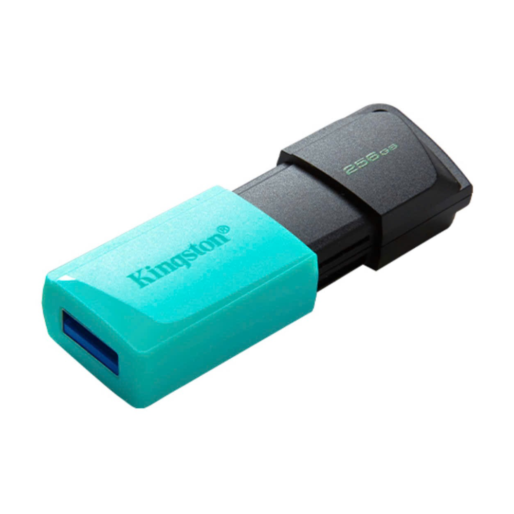  USB Kingston 256GB DataTraveler Exodia M (DTXM/256GB) 