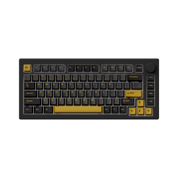  Bàn phím cơ gaming AKKO 5075 V3 Black Gold | Không dây, 75%, Akko V3 Piano Switch 