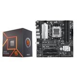  COMBO AMD R5 7600 - ASUS B650M-A II 