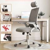  Ghế Văn Phòng Manson Ergonomic | Màu Xám, Công thái học, Tay Gập 