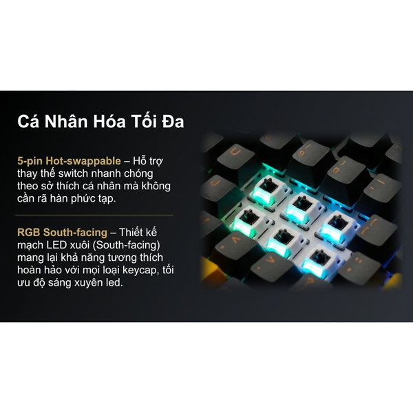  Bàn Phím Cơ Gaming Không Dây AKKO 5087 V3 Black & Gold | Akko Piano Pro, 3 Mode, RGB, Hot Swap 