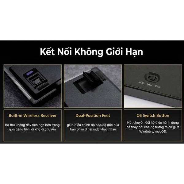  Bàn Phím Cơ Gaming Không Dây AKKO 5087 V3 Black & Gold | Akko Piano Pro, 3 Mode, RGB, Hot Swap 