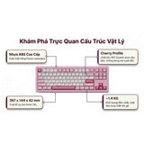  Bàn Phím Cơ Gaming Không Dây AKKO 5087 V3 Prunus Lannesiana | Akko Piano Pro, 3 Mode, RGB, Hot Swap 