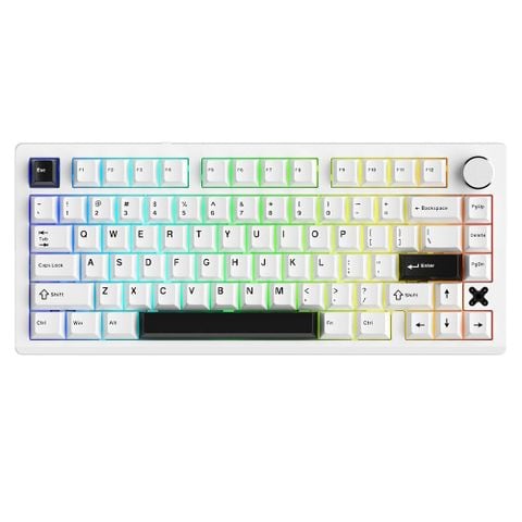 Bàn phím cơ Gaming Không Dây Dare-U Flex 75 White Black | Triple Mode, Gasket Mount, RGB, Pegasus Switch
