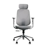  Ghế công thái học Epione ElysChair Cool Gray | Lưng lưới, Kèm tựa đầu, Xám 