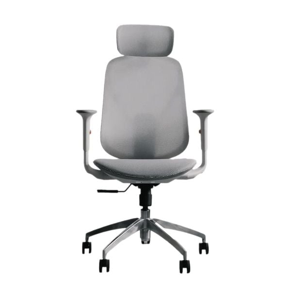  Ghế công thái học Epione ElysChair Cool Gray | Lưng lưới, Kèm tựa đầu, Xám 