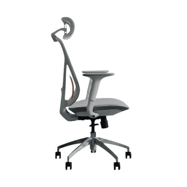  Ghế công thái học Epione ElysChair Cool Gray | Lưng lưới, Kèm tựa đầu, Xám 