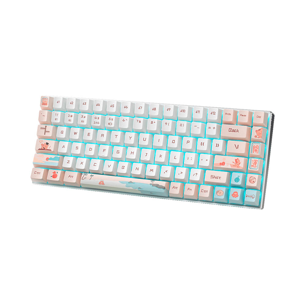  Bàn Phím Cơ Không Dây Gaming Rapoo MT510 Pro White Yellow Multi Mode | Sliver Switch (Blue Switch) 