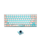  Bàn Phím Cơ Không Dây Gaming Rapoo MT510 Pro White Yellow Multi Mode | Sliver Switch (Blue Switch) 