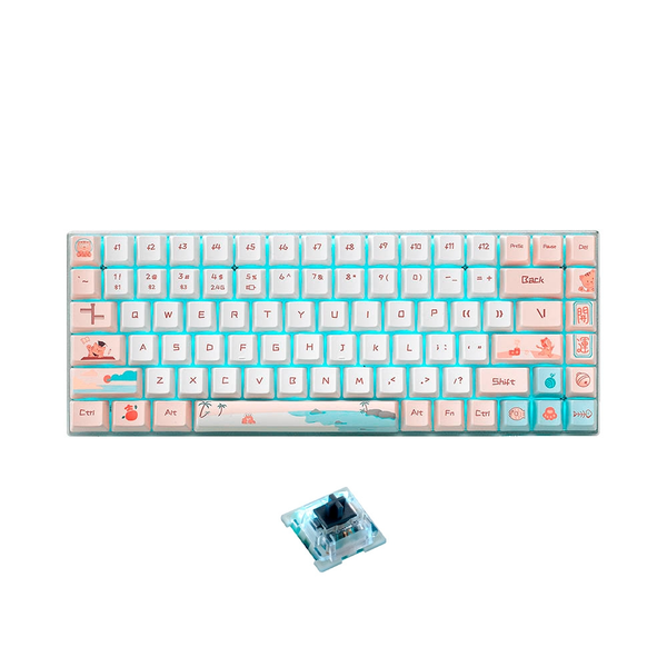  Bàn Phím Cơ Không Dây Gaming Rapoo MT510 Pro White Yellow Multi Mode | Sliver Switch (Blue Switch) 
