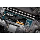  Ổ Cứng SSD Kioxia EXCERIA G3 1TB NVMe Gen5x4 (LVC10Z001TG8) 