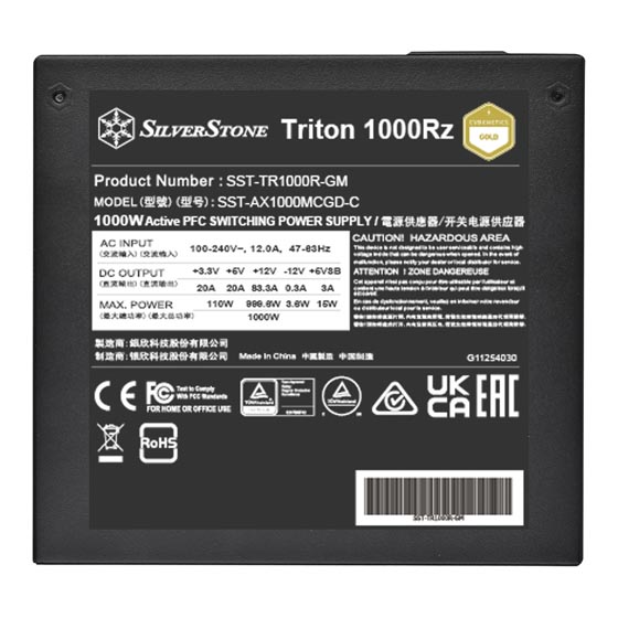  Nguồn máy tính SilverStone 1000RZ 1000W F-Module Gold- Đen 