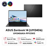  Laptop Asus Zenbook 14 UM3406KA-PP113WS 