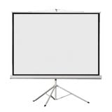  Màn chiếu 3 chân Dalite P84TS (2m13 x 2m13) - 120 inch 