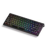  Bàn Phím Cơ Gaming AKKO TAC75 Black He AstroAim Magnetic Switch 