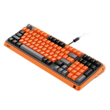  Bàn phím gaming Rapoo ESK750-98 | Orange Grey Black, Blue Switch 