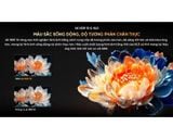  Google Tivi Coocaa 55 inch 4K 55Y84 